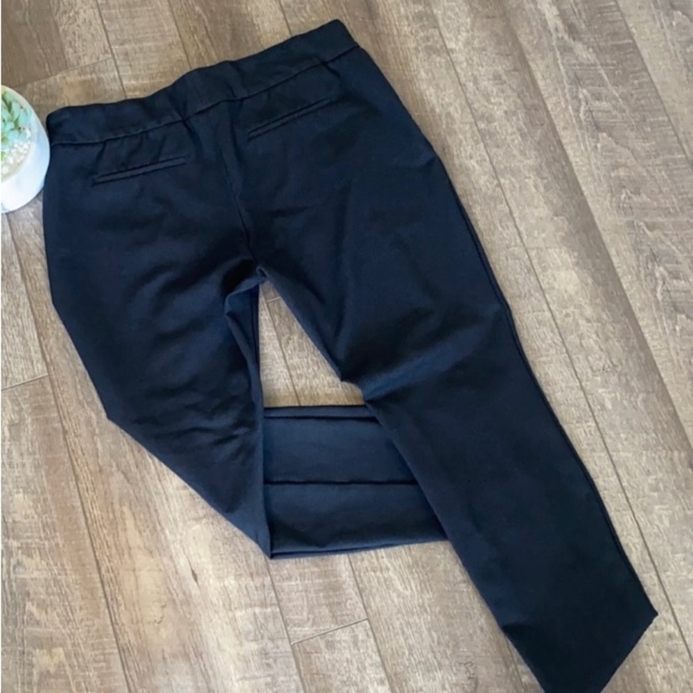 Hilary Radley classic Swiss Dot Ponte pant XL